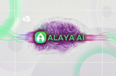 Alaya AI 用自动化解决方案革新数据标注行业